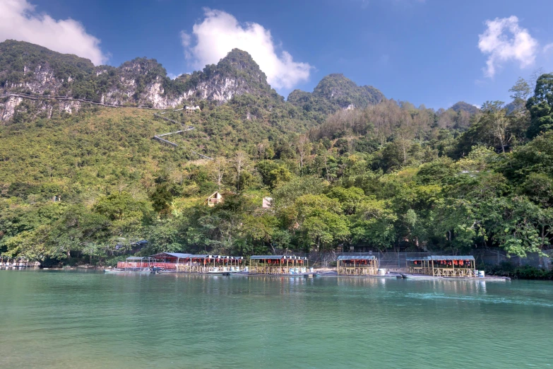 the boats on the water are surrounded by the trees