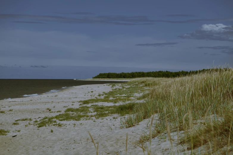 the beach is bordered with sand, grass and trees