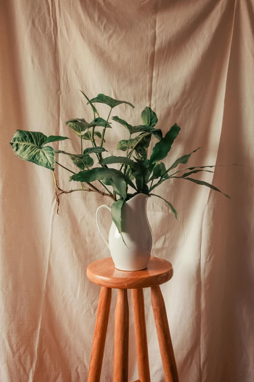a plant is on a table with a white vase