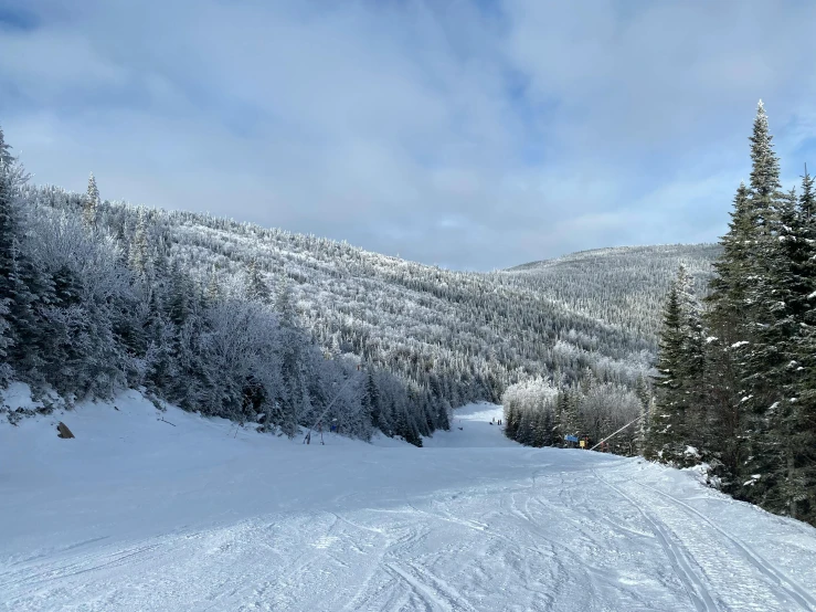 there is a ski trail that goes through the woods