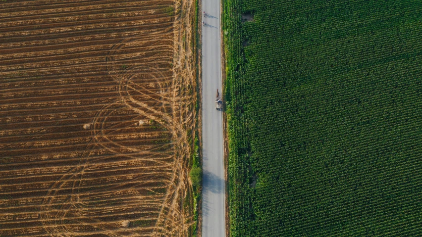 an aerial view of a country road passing through the middle of a corn field