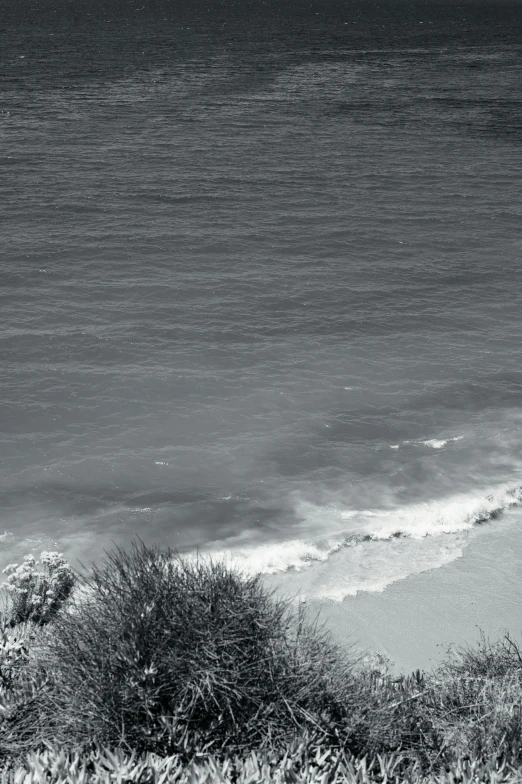 a person that is walking on a beach