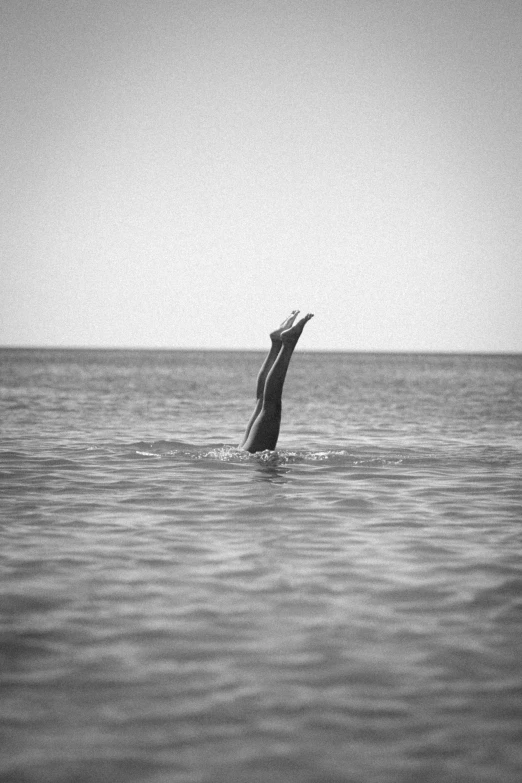 a dolphin jumping out of the water towards the sky