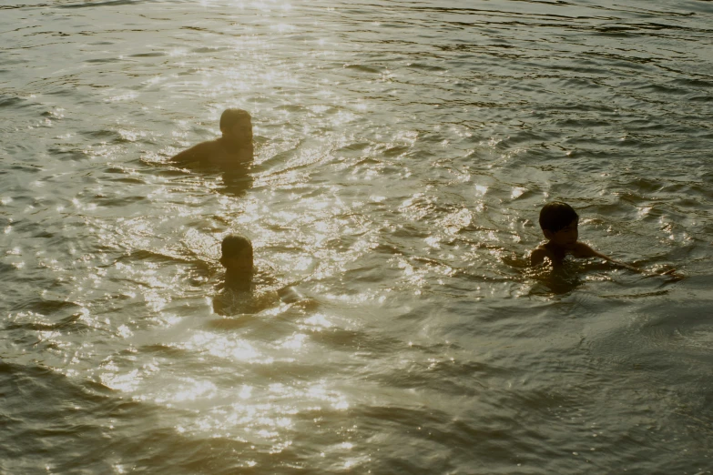 a group of people swimming in the water