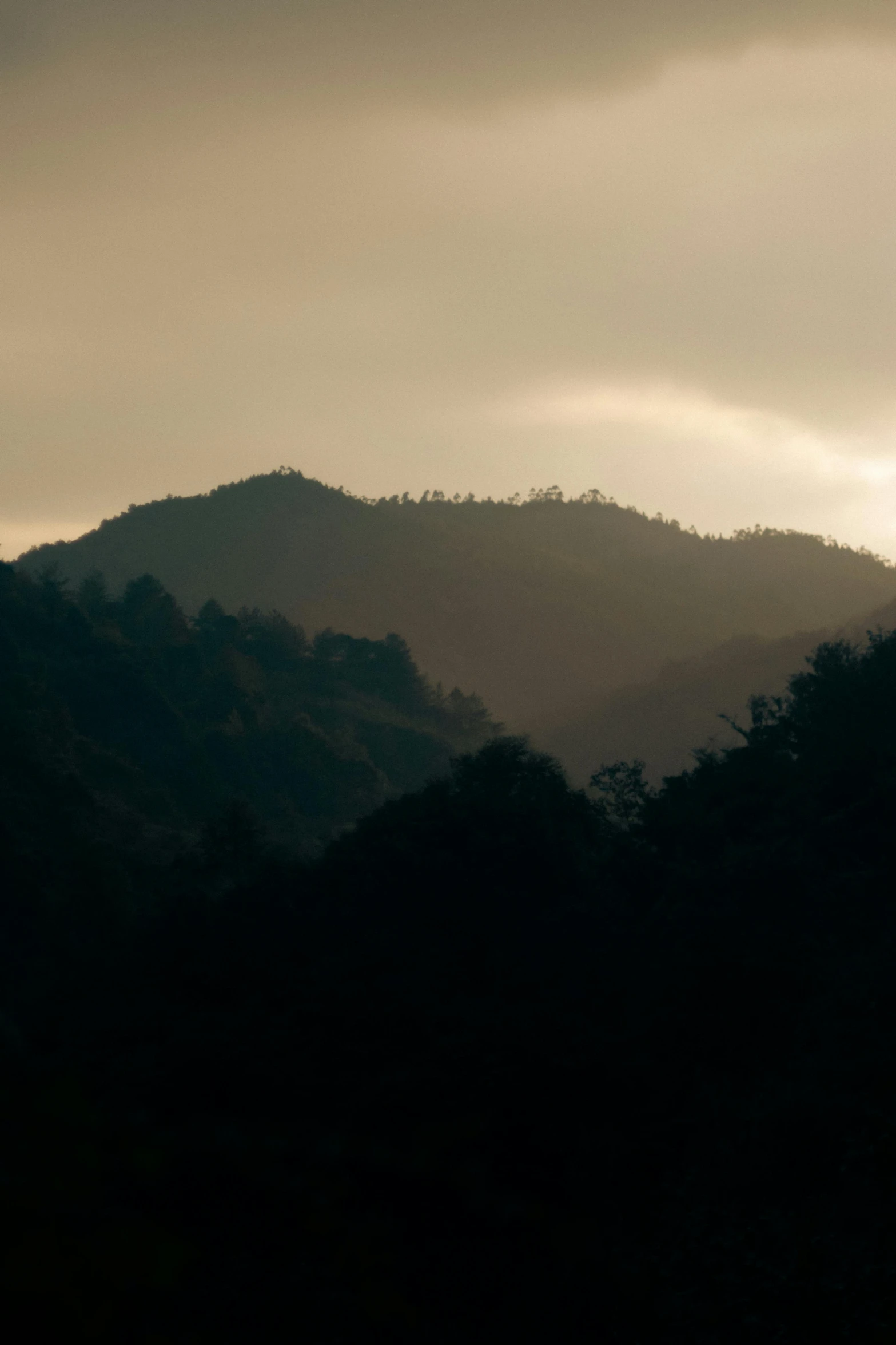 the tree silhouettes of mountains are very dark