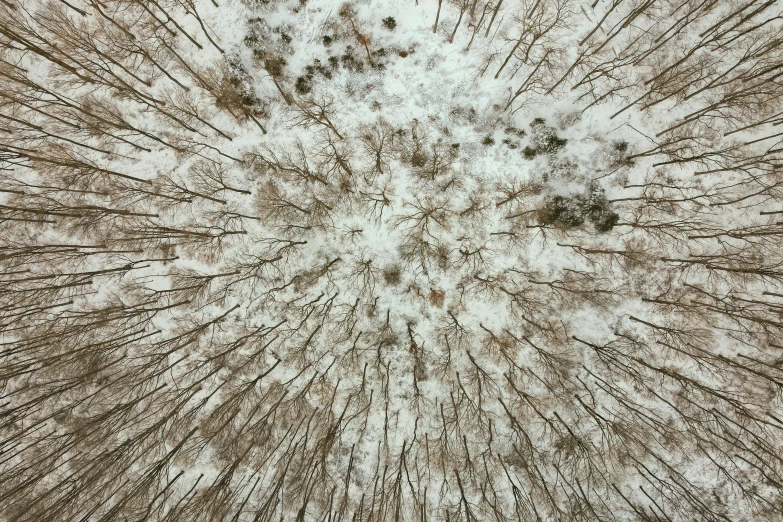 the center of the starburst is covered in snow