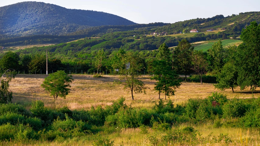 an empty field surrounded by mountains and trees