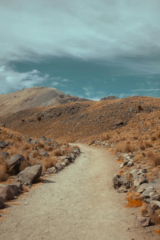 a dirt path in the middle of rocky terrain