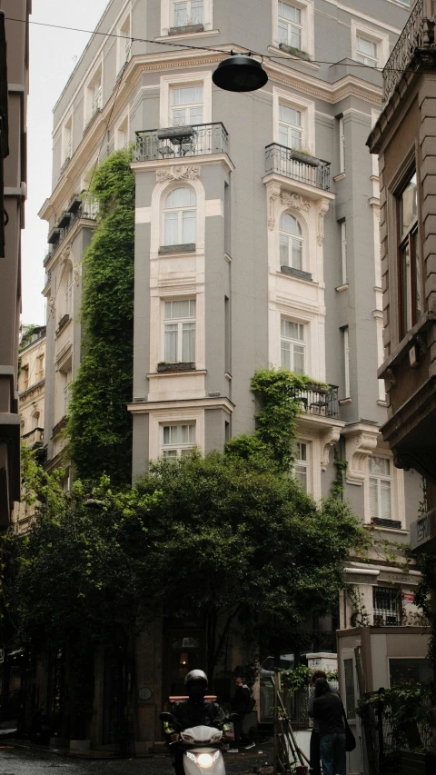 a scooter parked in front of a large building with some vines on the side