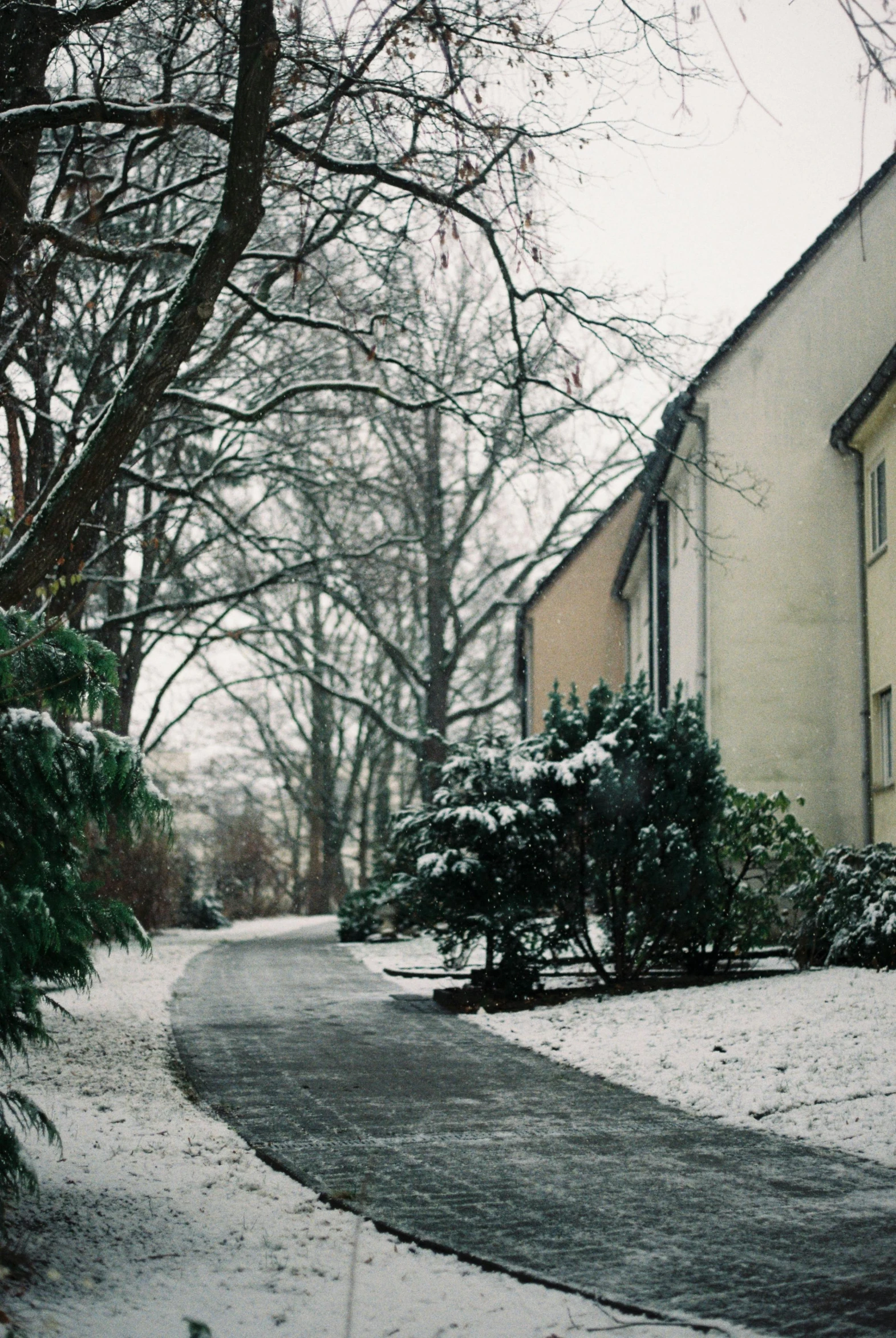 an image of a snow covered path on a street