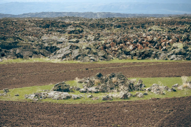 two dirt roads are lined with rocks and trees