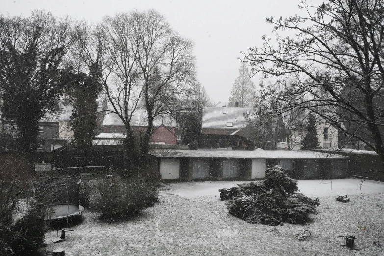 this is a pograph of the courtyard and trees after a snowy day