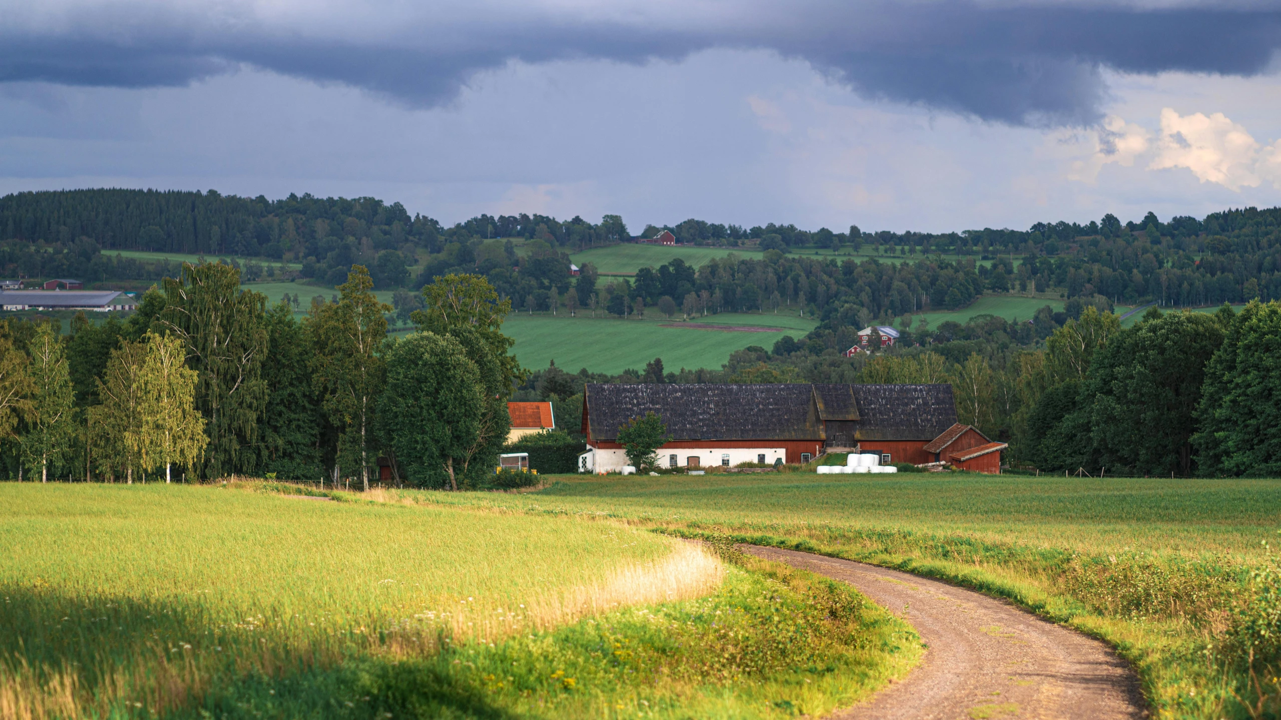 a path running through the grass leading to a house