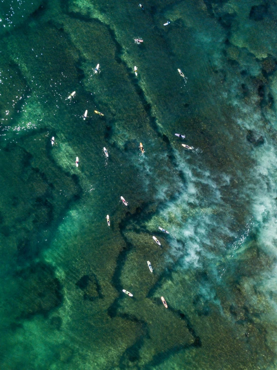 water waves are forming green algae and rock pools