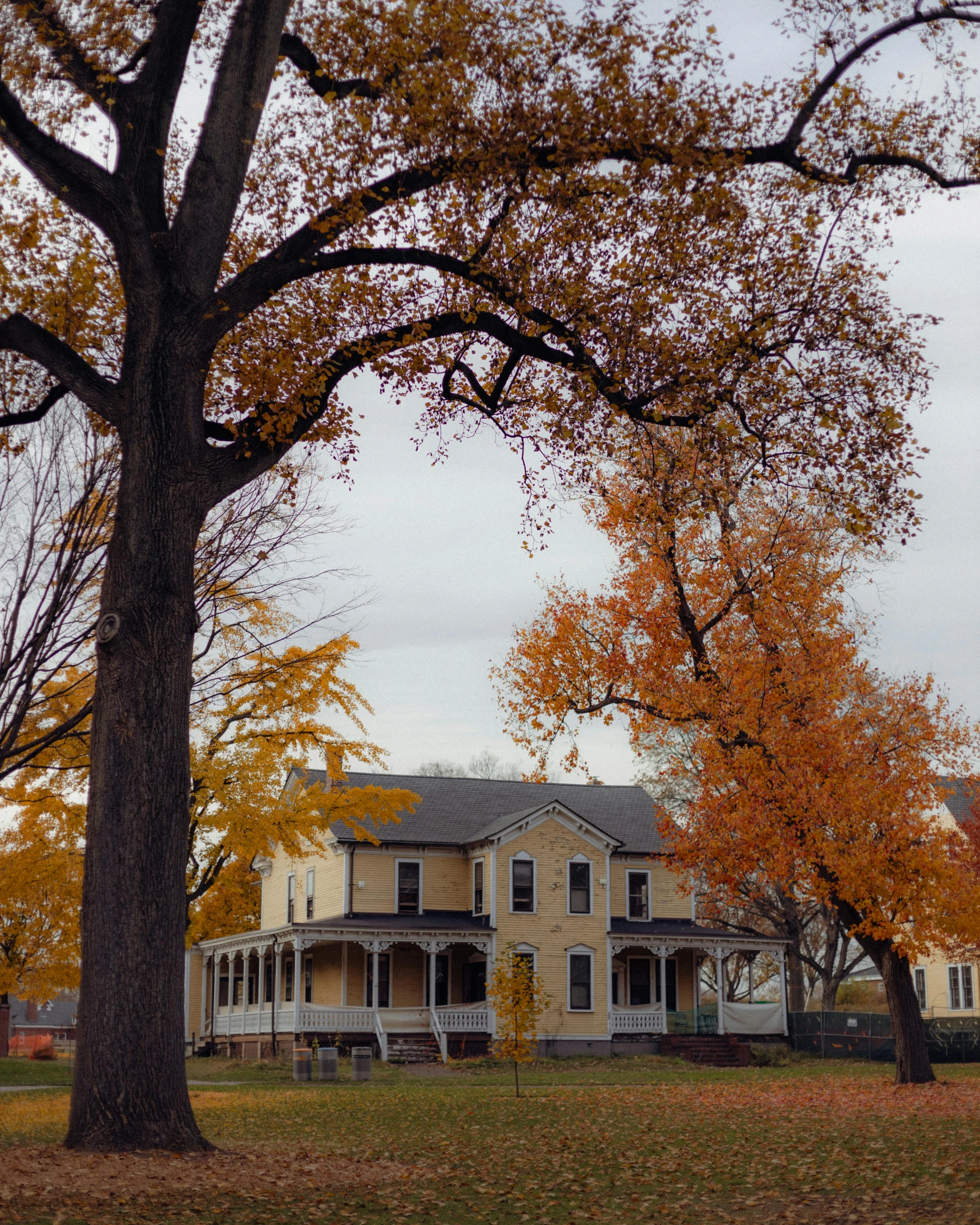 a yellow house is in the background of trees with orange leaves