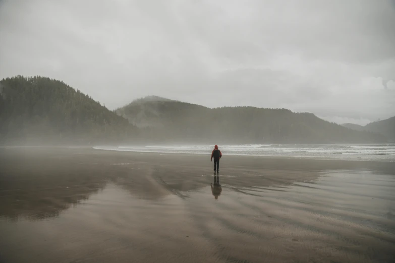 a person walks along a wet beach with low hills in the background