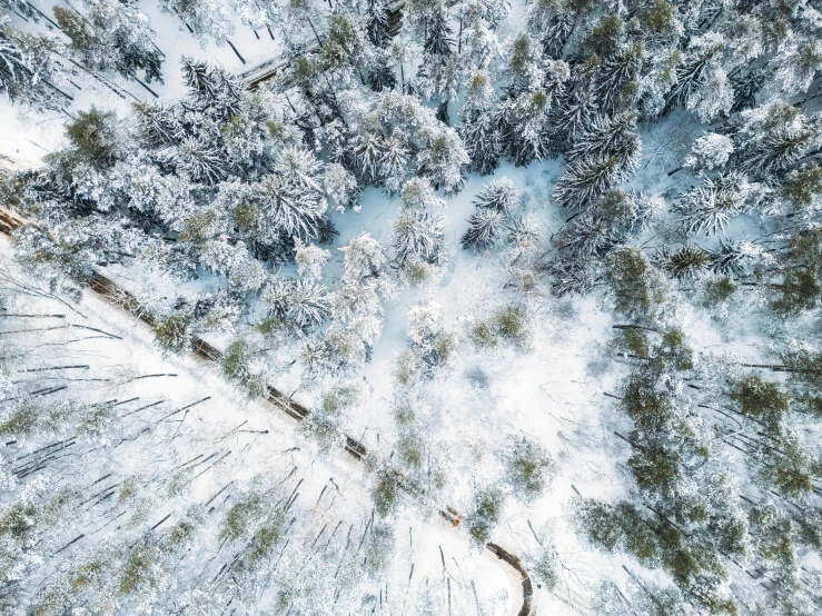 an aerial s of a snowy forest filled with lots of trees