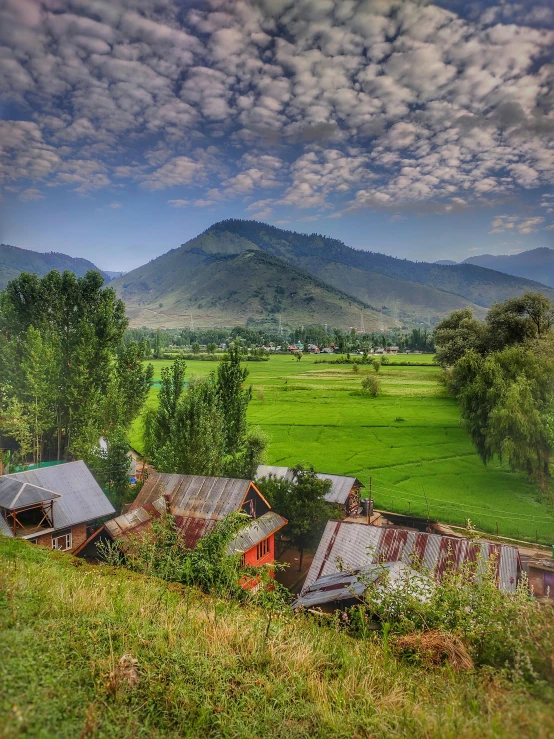 a rural farm with grass and trees in the background