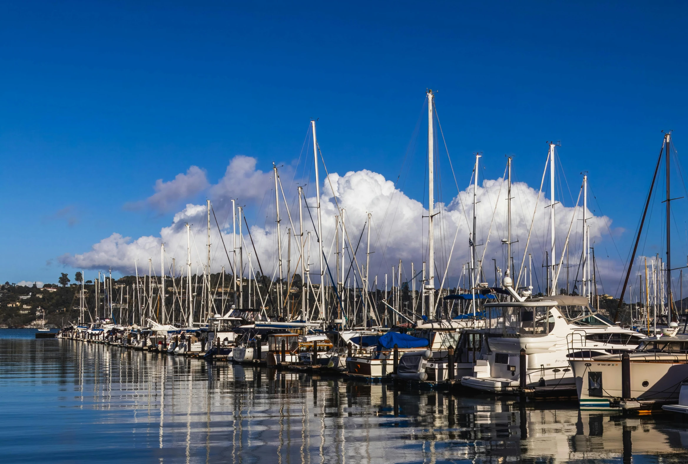 several boats parked in the harbor with poles sticking out of them