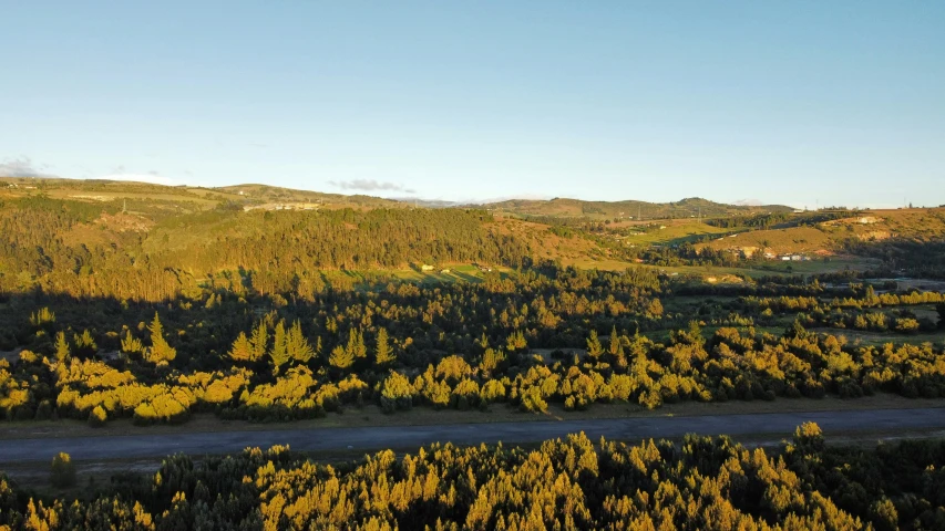 trees are in the foreground with the valley on the far side