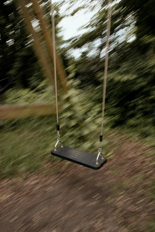 a swing attached to trees in the woods