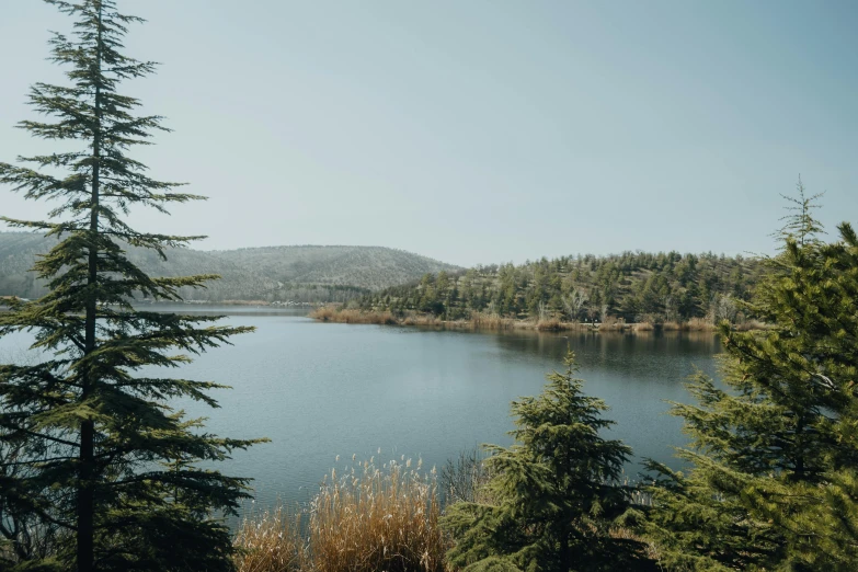 a large lake surrounded by a forest on a hill