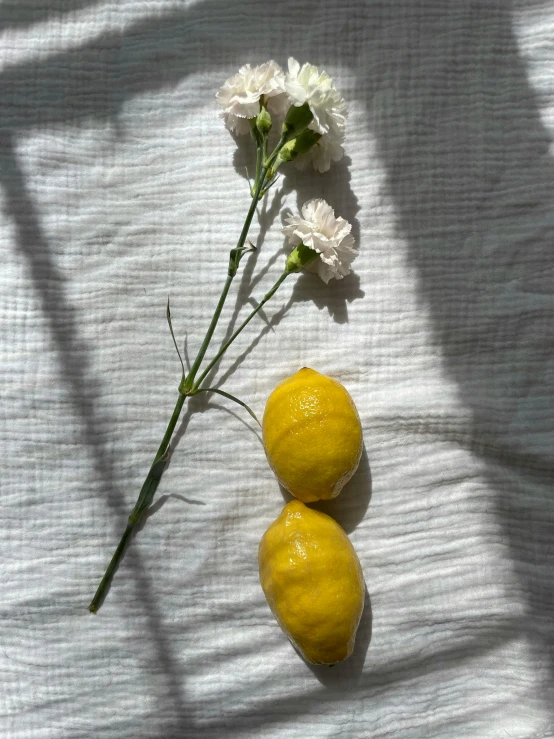 three yellow lemons on a white sheet next to flowers