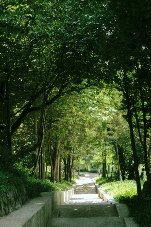 a picture of a narrow road that looks like it has a ramp going through the trees