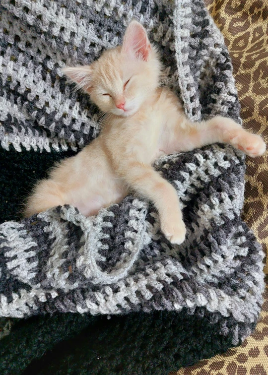 there is a cat that is sleeping on top of a blanket