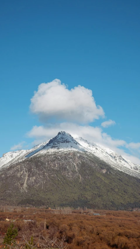 a snow covered mountain and grassy area under a blue sky