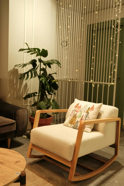 a chair in front of a tree and a plant