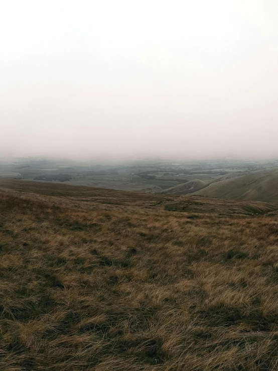 a foggy view of an empty field with sheep grazing on the ground