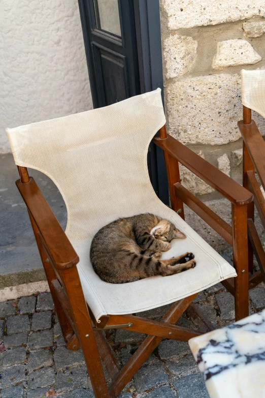 a small cat sleeping on a chair outside