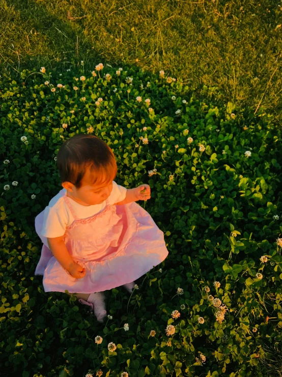 a child in a dress is standing in some grass