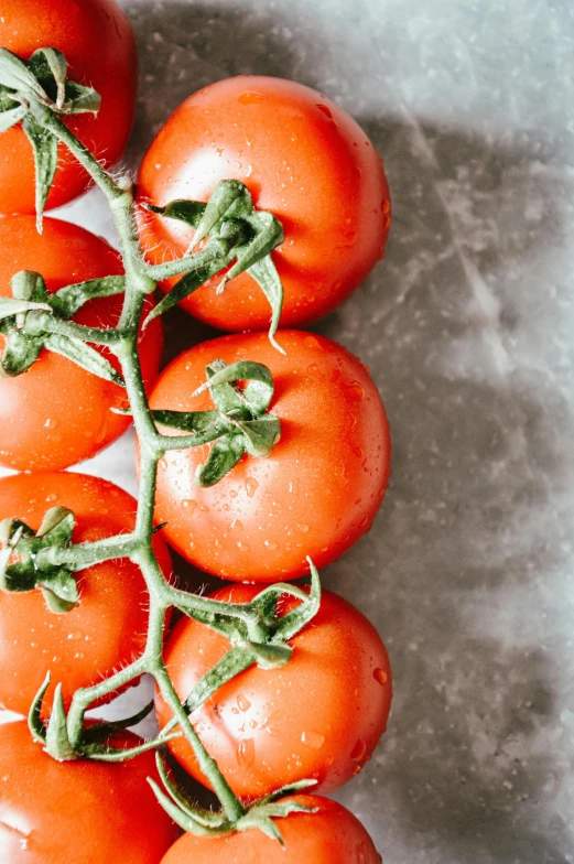 a bunch of tomatoes that are laying on the ground