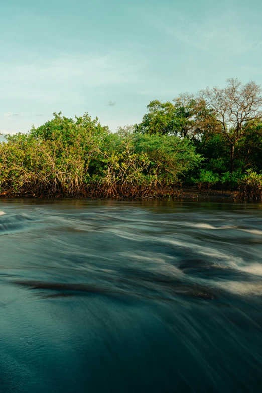 a man riding on top of a surfboard on a river