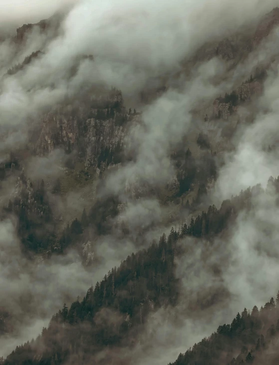 view of a mountain landscape covered with fog