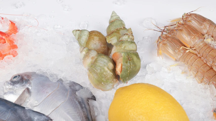 fresh seafood are displayed on ice with a lemon