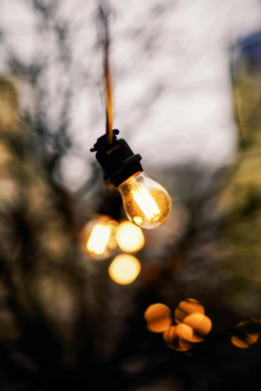 a light bulb hanging from the ceiling near some trees