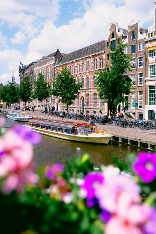 a bunch of boats are docked near a row of houses and flowers