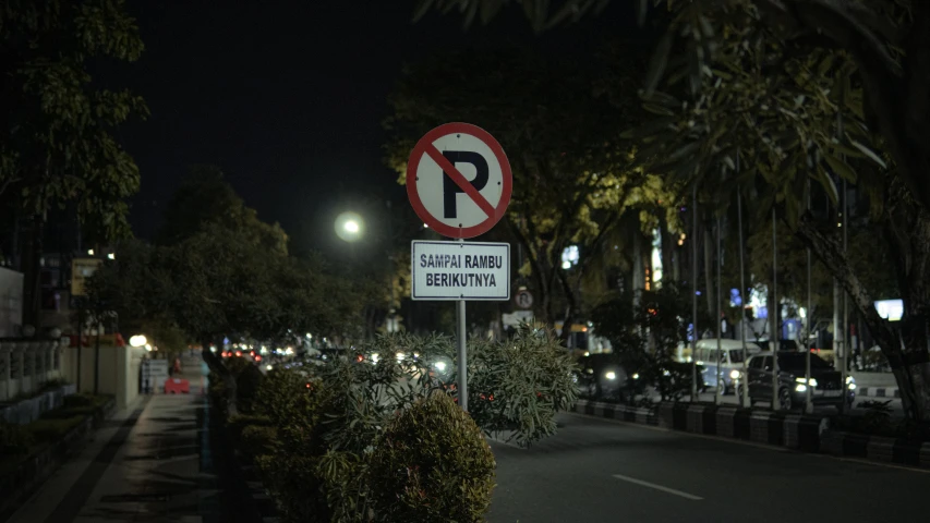 an no parking sign in a tree lined area