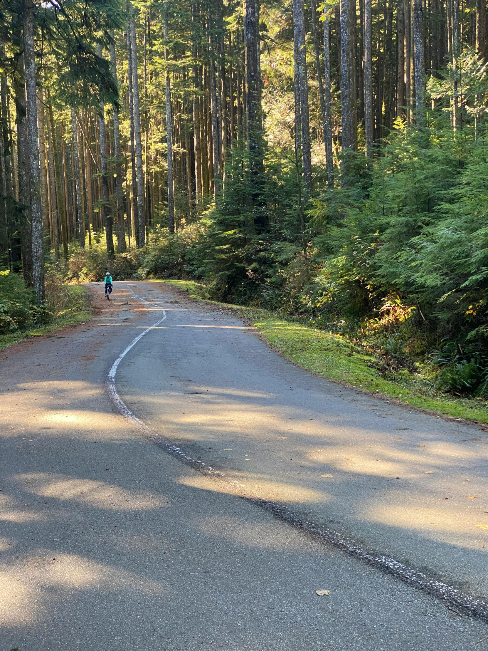 an image of two motorcycles on the side of the road