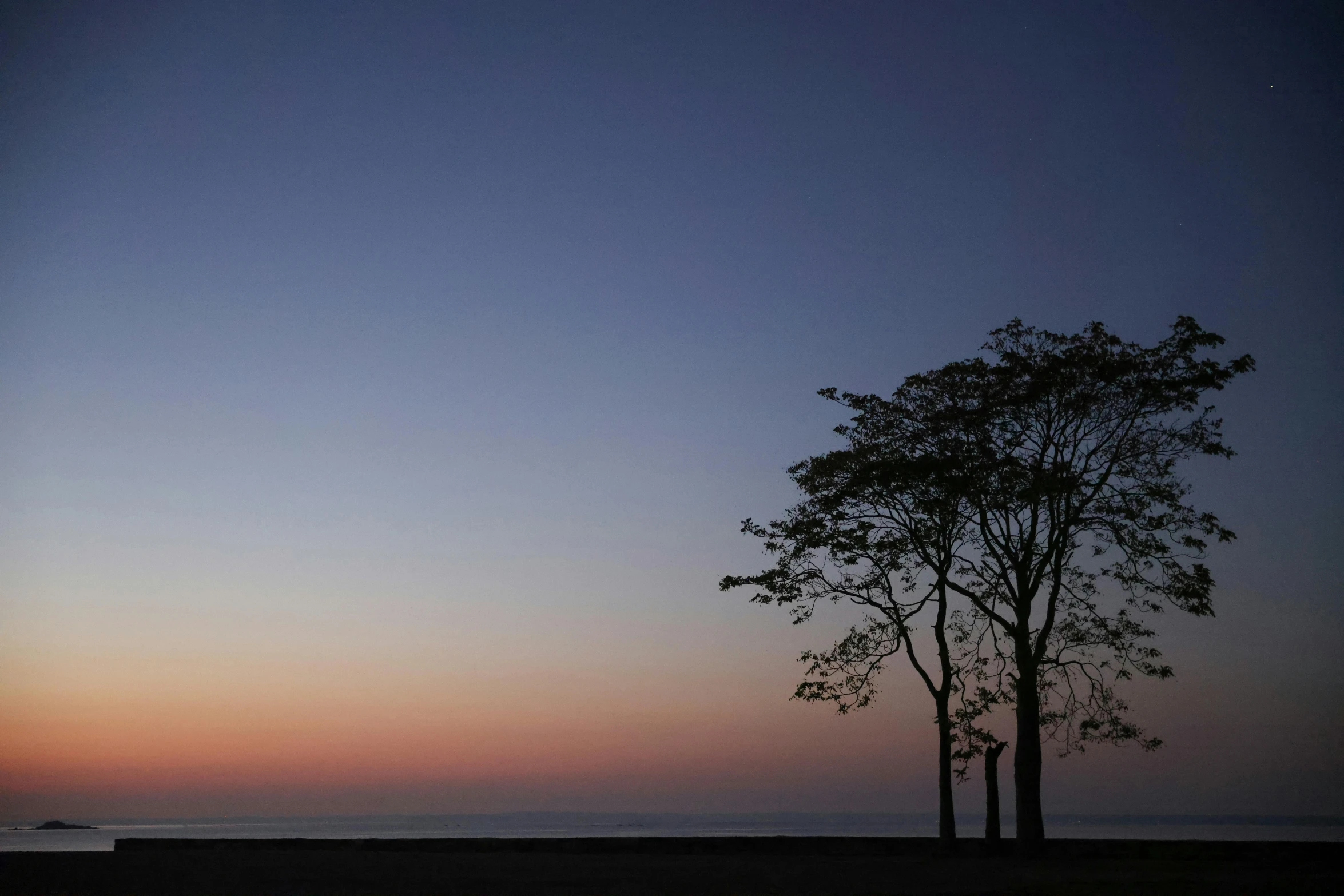 a couple of large trees standing in the sunset