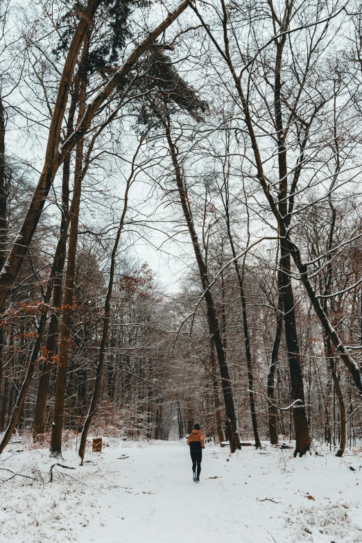 a person is walking through the snowy woods