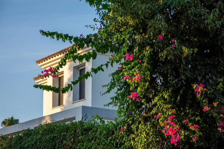 the front facade of a house with white and gray trim on the side