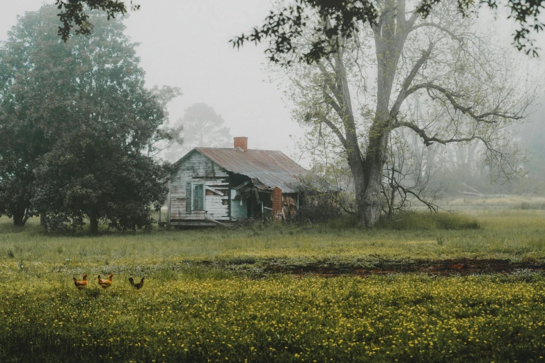 the old wooden house is next to trees