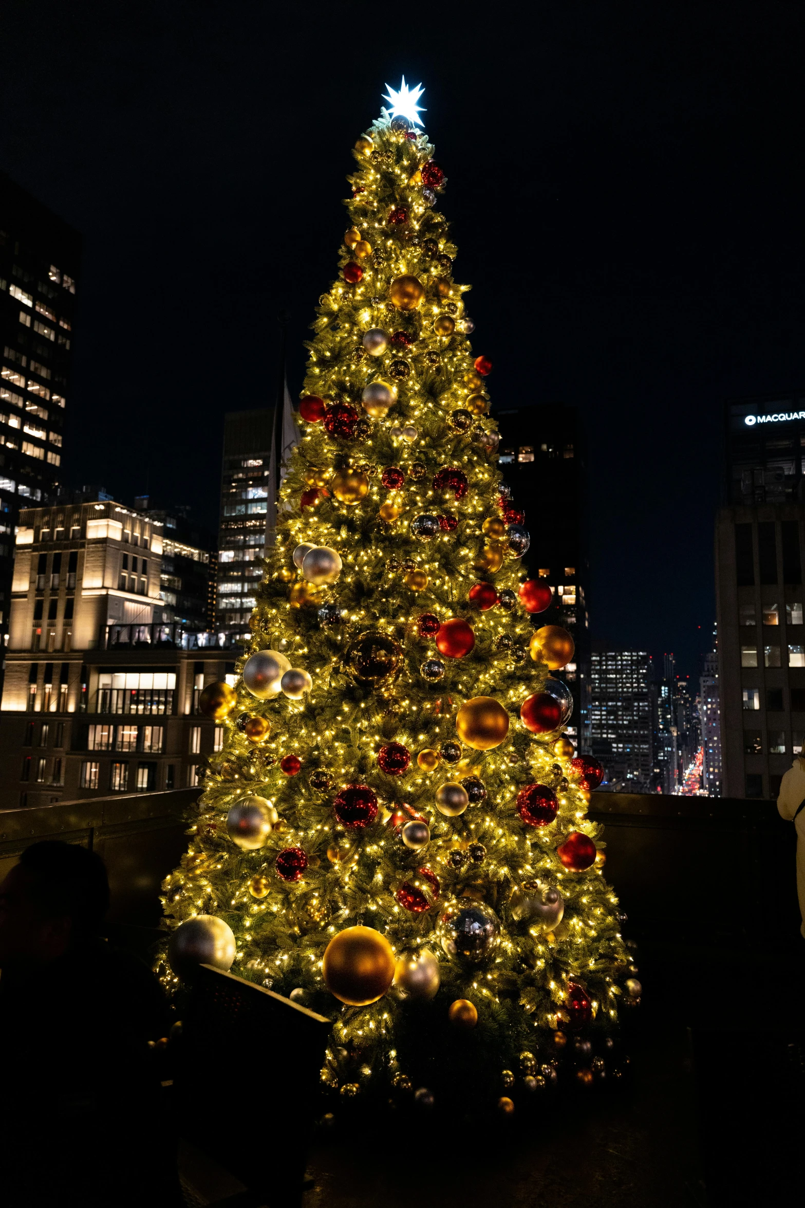 a big decorated christmas tree in the city