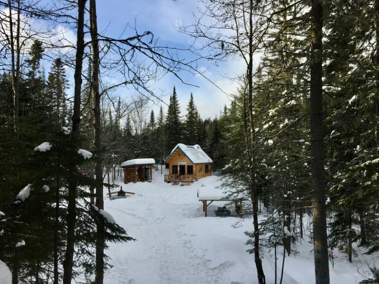 a cabin in the woods with snow on the ground