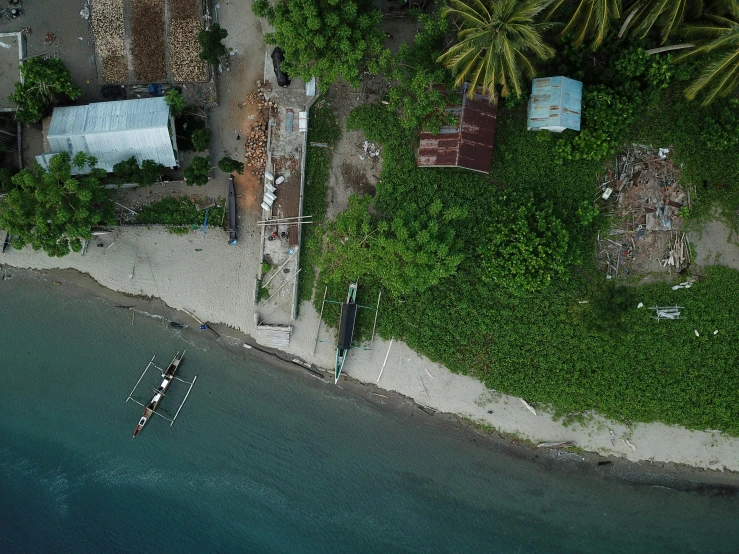 an aerial view shows some trees and green grass along the shoreline