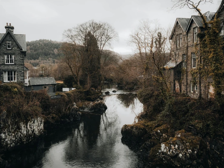 the house is along the river side with its roof on